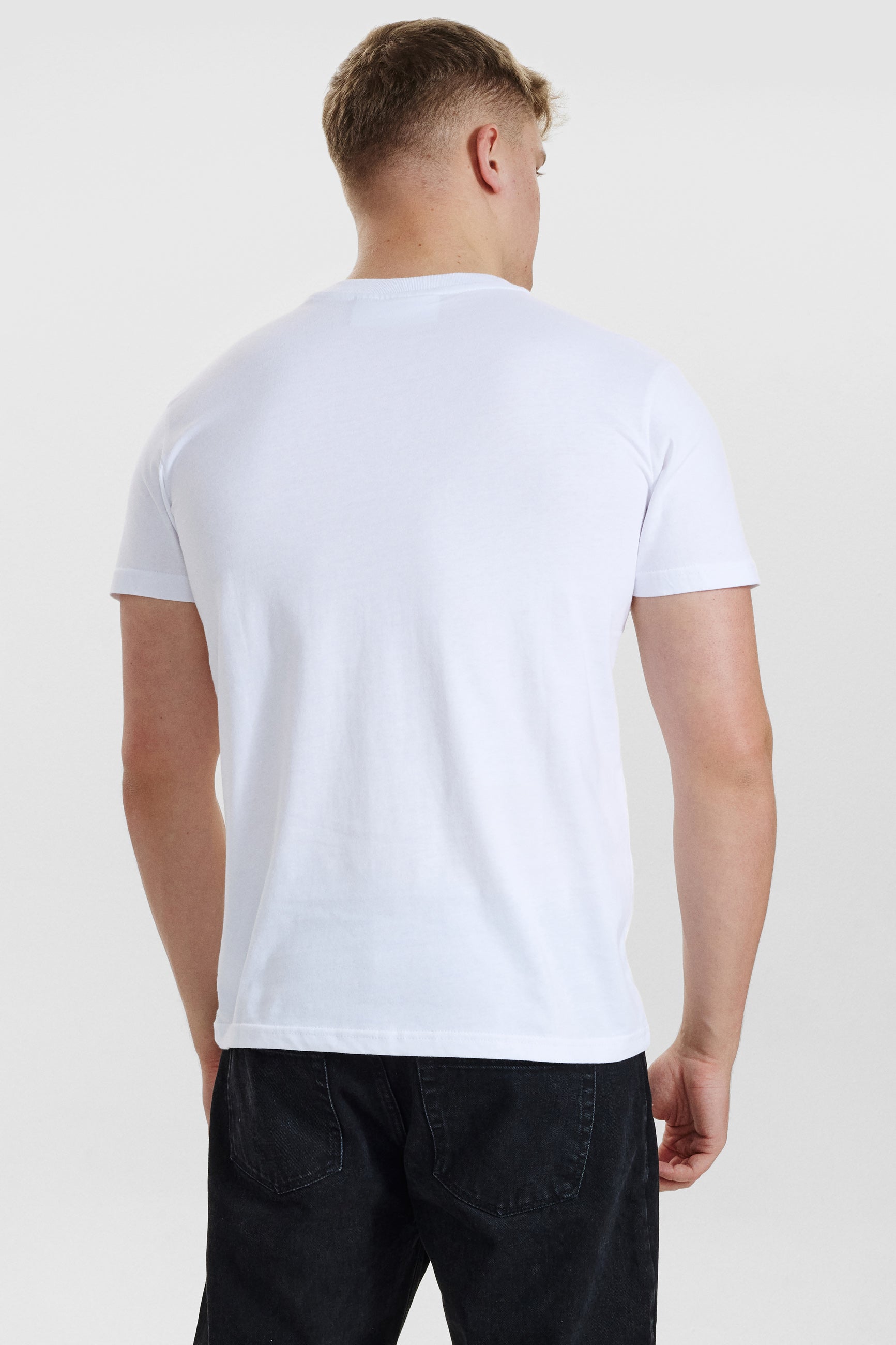 DXNMXRK. DX-Albert Outlet White